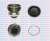AQUAPLUS 85-4455 Water Pump